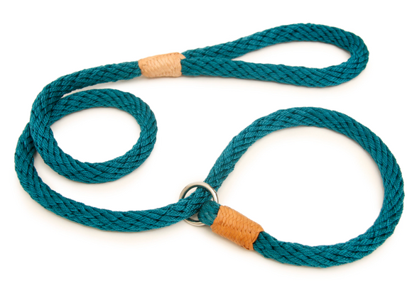 Nylon Slip Leash ~ Solid Fun Colors