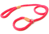 Nylon Slip Leash ~ Solid Fun Colors