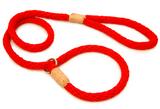 Nylon Slip Leash ~ Solid Fun Colors