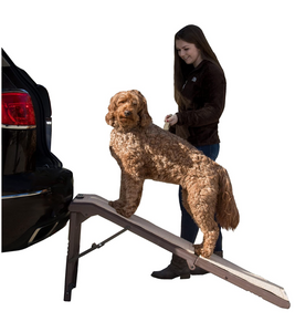 Free-Standing Pet Ramp