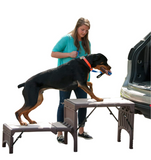 Free-Standing Foldable Pet Stair