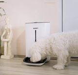 Sprite Ⅱ WiFi Smart Feeder 6-Meal, 7L