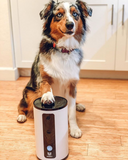 TitBit Interactive Dog Camera and Treat Dispenser WiFi