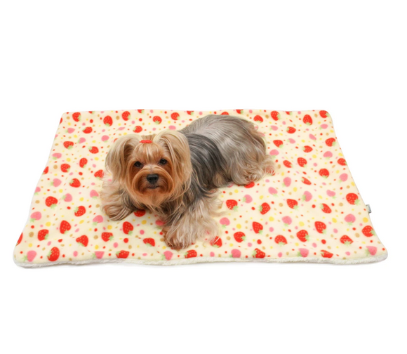 Double Layered Yummy Strawberry Fleece/Plush Blanket