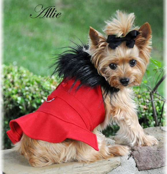 Designer Red Wool Blend Classic Dog Coat Harness and Fur Collar with Matching Leash