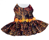 Fall Leaves Harness Dress With Matching Leash