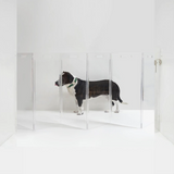 Wall Mounted Clear Pet Gate Zig Zag | Options