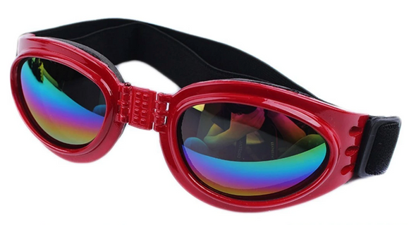 QUMY Dog Sunglasses - Red