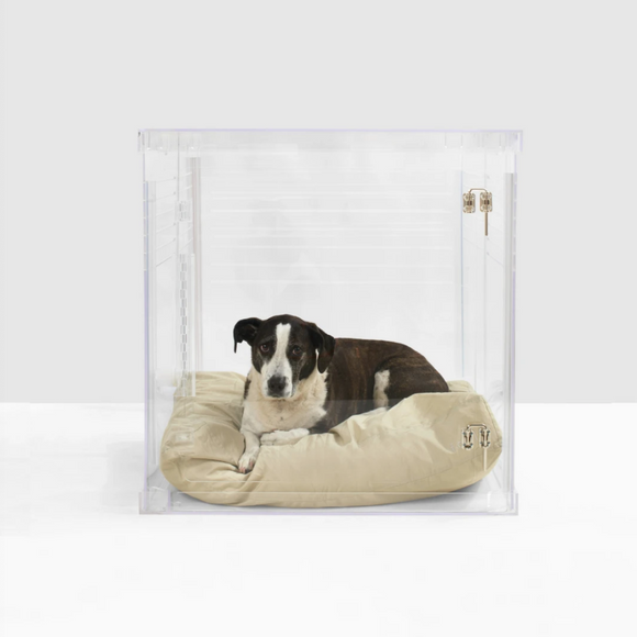 Clear Dog Crate to Gate | Large