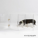 Clear Dog Crate to Gate | Large