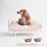 Clear Rectangular Lucite Dog Bed