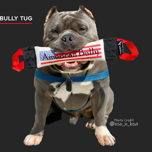 American Bully Fire Hose Tug