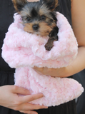 Snuggle Pup Sleeping Bag Dog Blanket ~ Chocolate