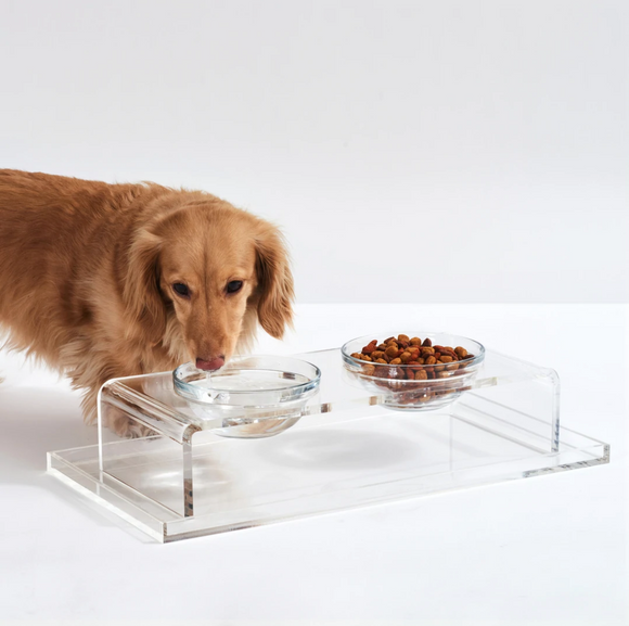 Clear Double Dog Bowl Feeder with Glass Bowls