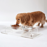 Clear Double Dog Bowl Feeder with Glass Bowls