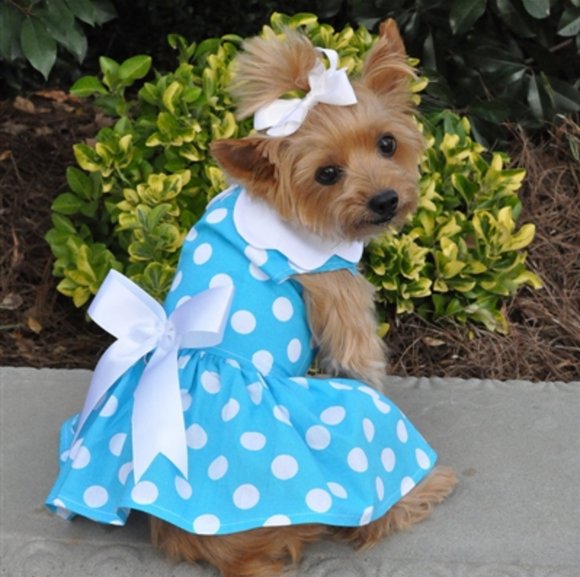 Blue Polka Dot Dress w/ Leash & D-Ring