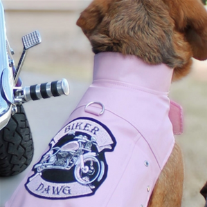 Biker Dawg Motorcycle Jacket ~ Pink