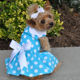 Blue Polka Dot Dress w/ Leash & D-Ring