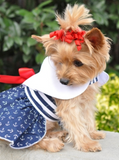 Nautical Dress Dress w/ Leash & D-Ring