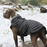 Alpine Puffer Coat - Coral Orange