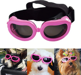 QUMY Small Dog Goggles UV