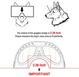 QUMY Large Dog Goggles UV