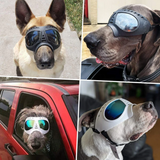 QUMY Large Dog Goggles UV