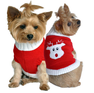 Best Dog Sweater