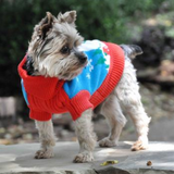 crochet dog sweater