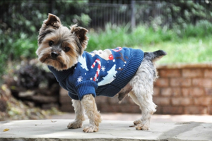 Cotton Ugly Dog Sweater