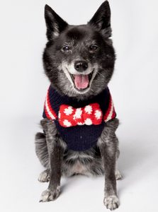 Best Squirrel Patrol Dog Sweater | Le Pet Luxe