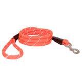 Reflective Rope Leash ~ Blue - Le Pet Luxe