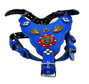 Blue ''Prometheus'' Leather Dog Harness