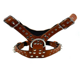 Brown ''Prometheus'' Leather Dog Harness