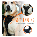 Mighty Paw Vehicle Safety Harness - Le Pet Luxe