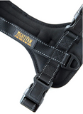 Mighty Paw Vehicle Safety Harness - Le Pet Luxe