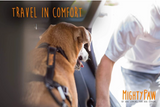 Seat Belt for Buckle ~ Dog Car Safety Belt - Le Pet Luxe