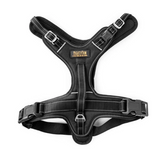 Black Sport Dog Harness 2.0 - Le Pet Luxe