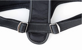 Sport Dog Harness - Le Pet Luxe