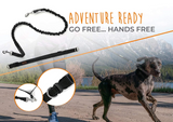 Hands Free Bungee Leash Set - Le Pet Luxe