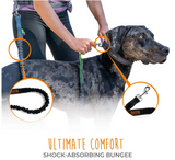 Hands Free Bungee Leash Set - Le Pet Luxe