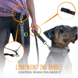 Hands Free Bungee Leash Set - Le Pet Luxe