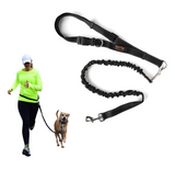 Hands Free Bungee Leash Set - Le Pet Luxe