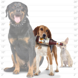 Beer Bottle Barks - Le Pet Luxe