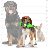 Beer Bottle Heinie Sniff'n - Le Pet Luxe