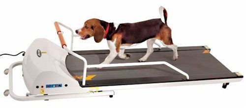 PetRun PR720F Dog Treadmill - Le Pet Luxe